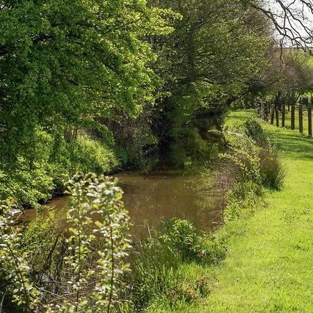 Bertrix Mill With Sauna Semesterbostad